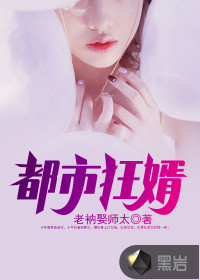 都市狂婿