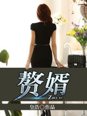 宋朝第一赘婿