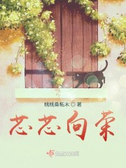 三十五岁逆袭三十六岁开始的巅峰