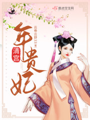 清宫年贵妃