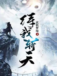 待我斩天