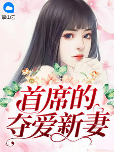 首席的夺爱新妻