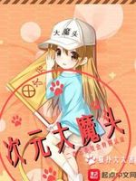 次元大魔头