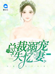 楚盈汐赫连夜